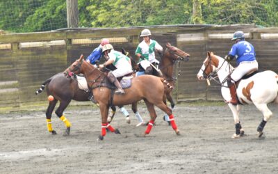 Irish Polo Foundation awards at the tournament for the Tricolour