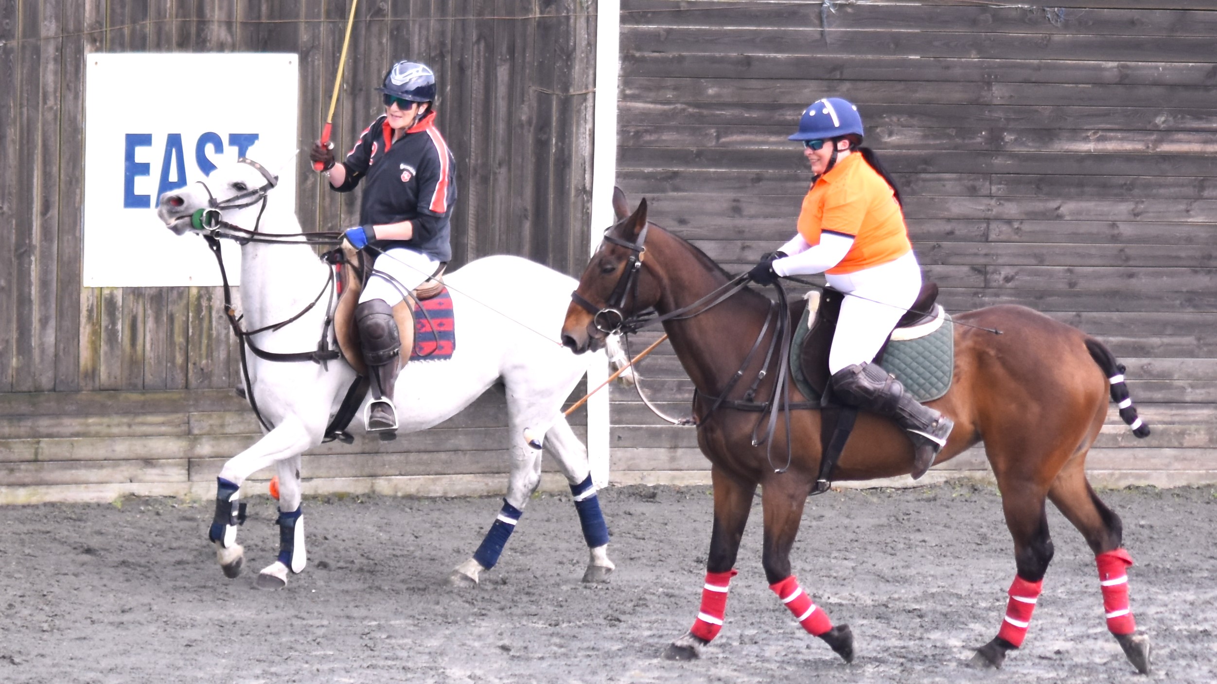 Polo Wicklow will host the opening tournaments of the 2024 season in the all-weather arena and the grass field