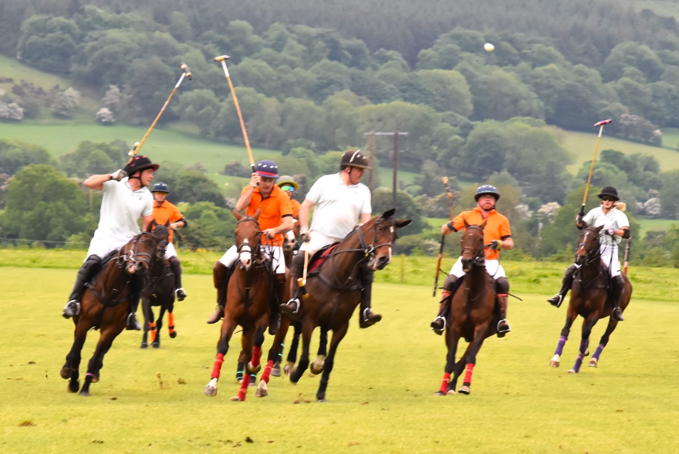 Polo Wicklow will host the opening tournaments of the 2024 season in the all-weather arena and the grass field