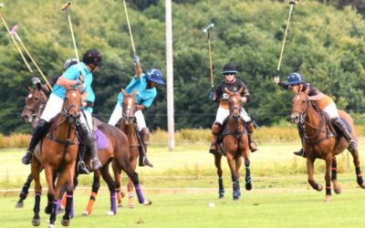 Former racehorses change track for a new life in polo